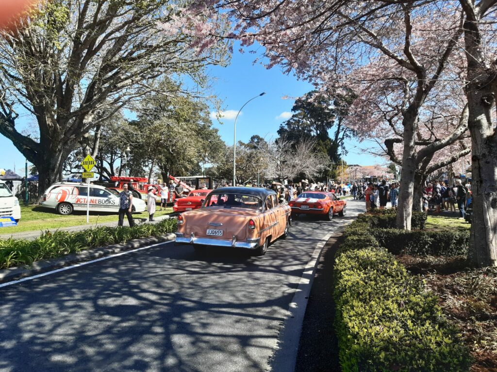 Cars and blossoms 1